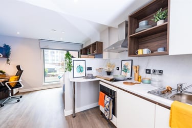 1 bed studio, Nelson Street, Holylands, Belfast, BT151BH - Image 4